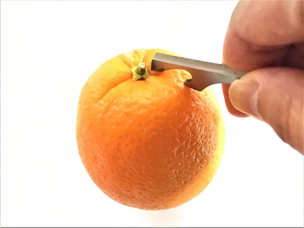 EIGER TOOL ACTY8 AT-100 scissors orange