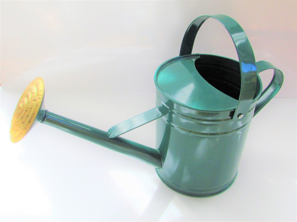 watering can (5)