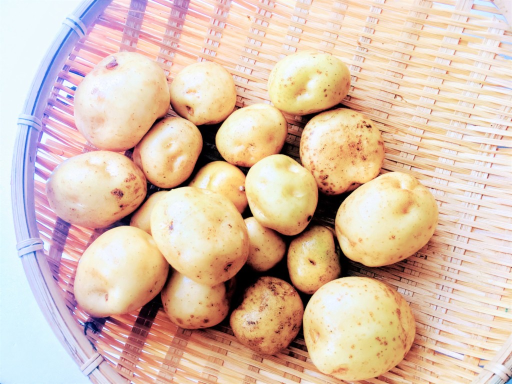 sharebatake-potato