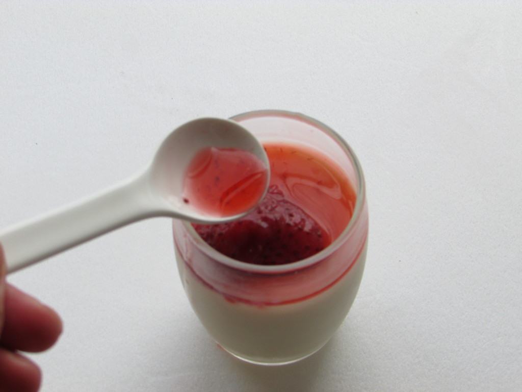 tonyu-pudding (12-2)