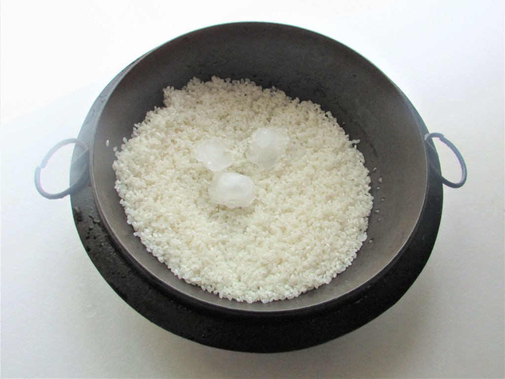 rice2 (11)