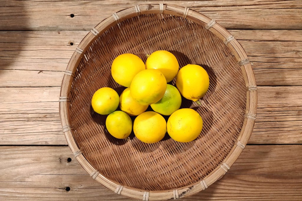 20211121_lemon,companionplants (★)