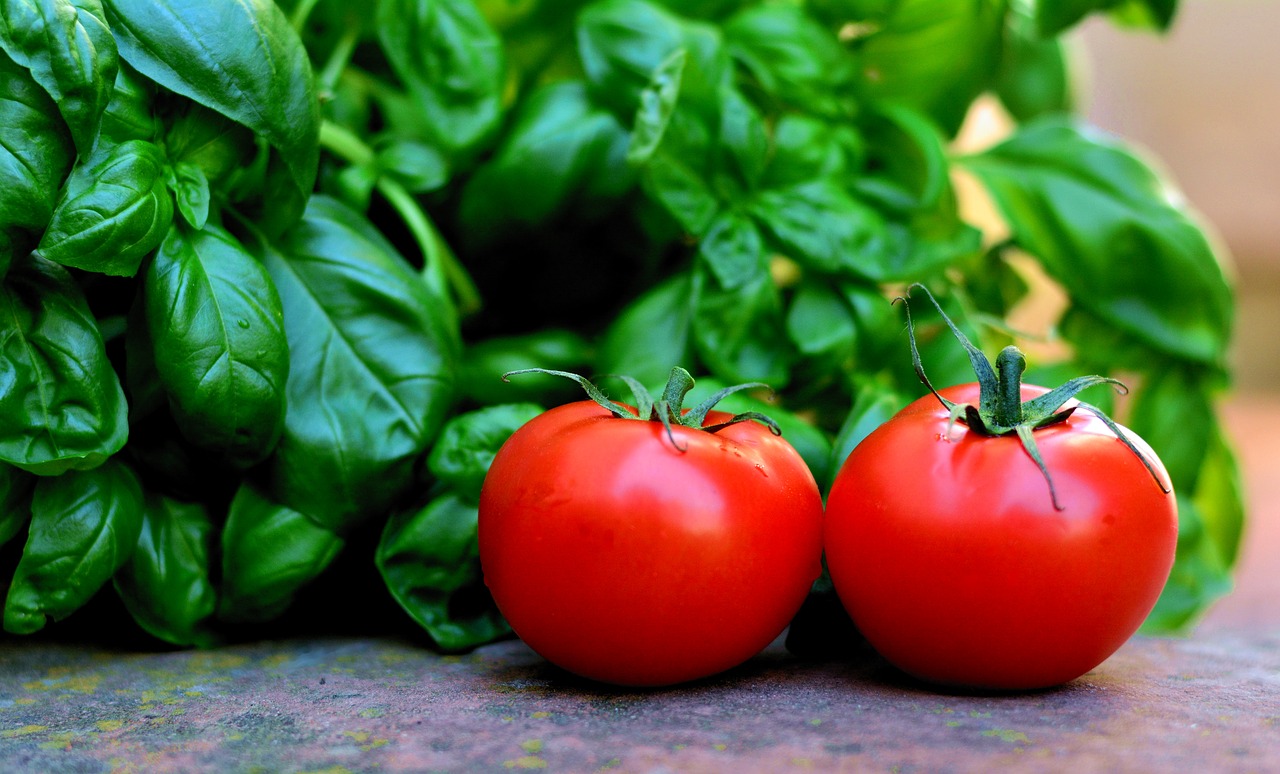 tomato,basil,companionplants