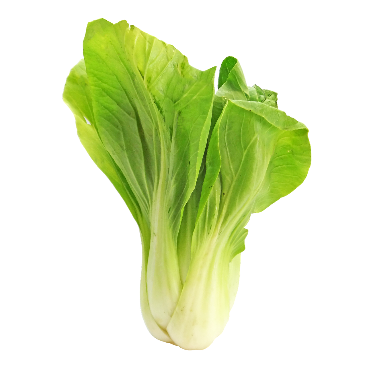 Bokchoy,mix-leafy vegetables