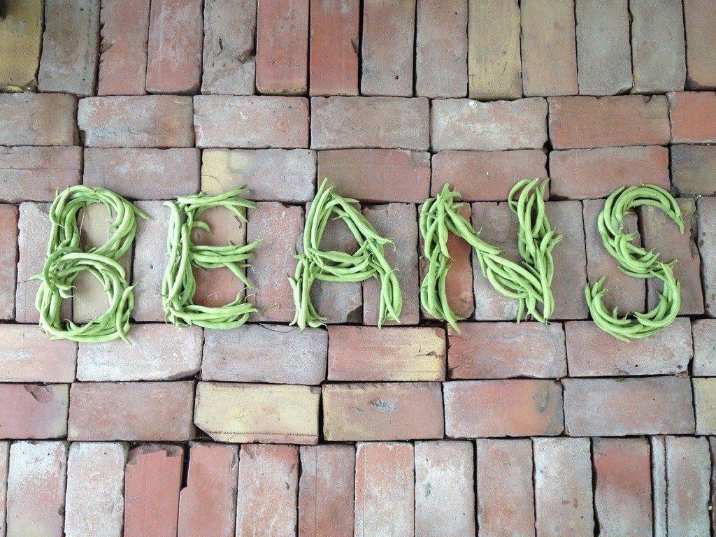 bean3