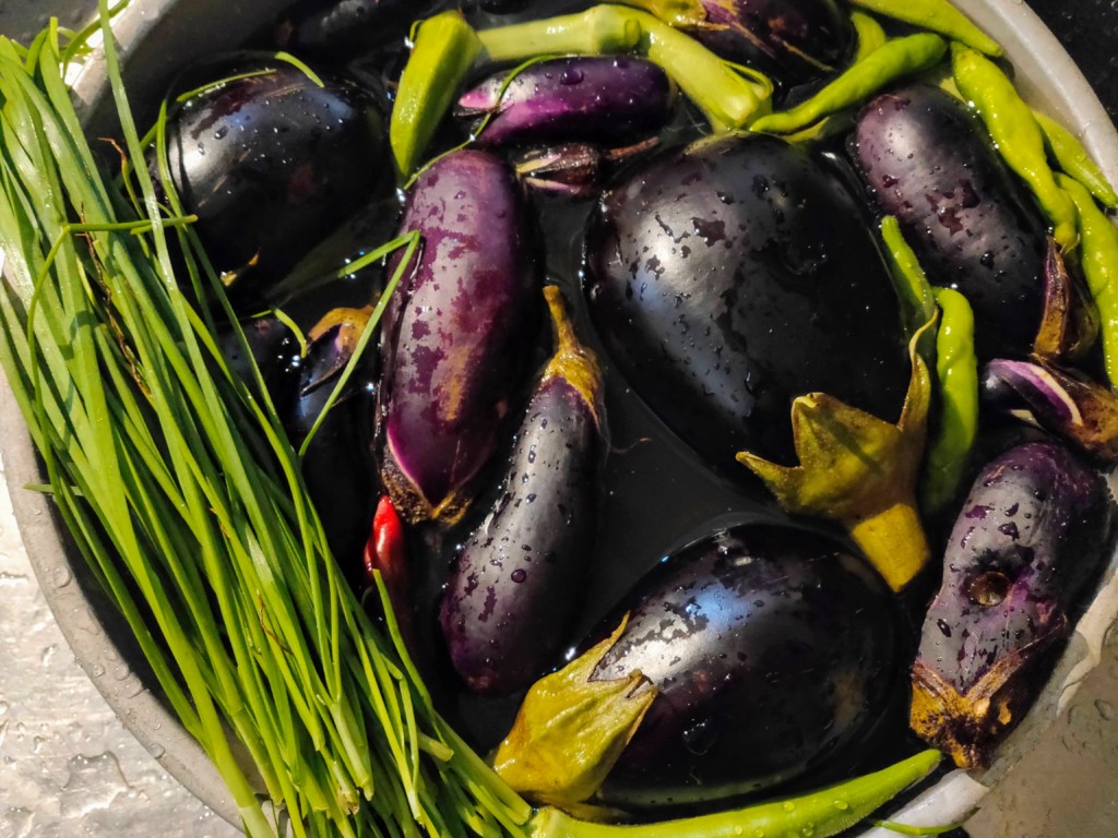 eggplants,nira,nasu