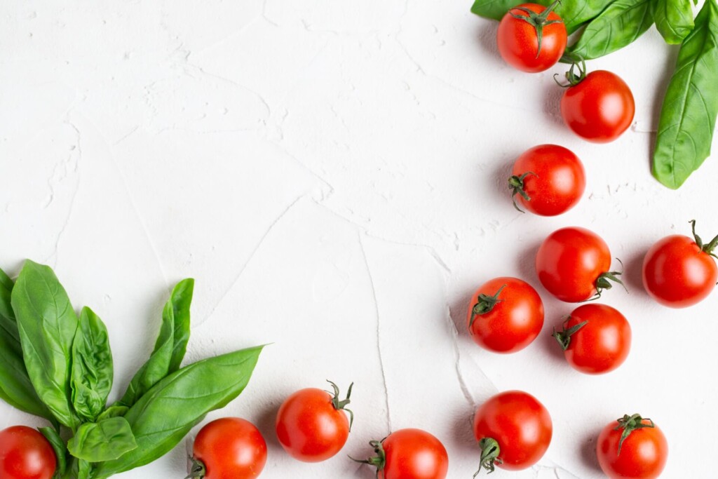 tomato,basil,companionplants-1kj