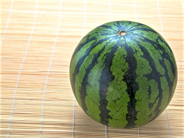 watermelon8