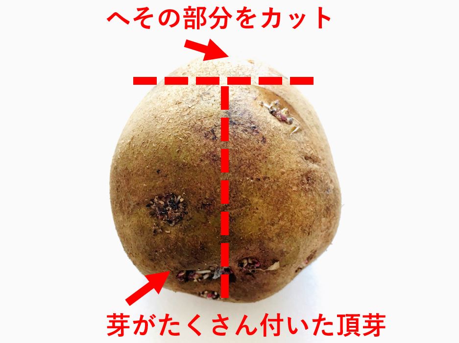 potatoes (4-1)