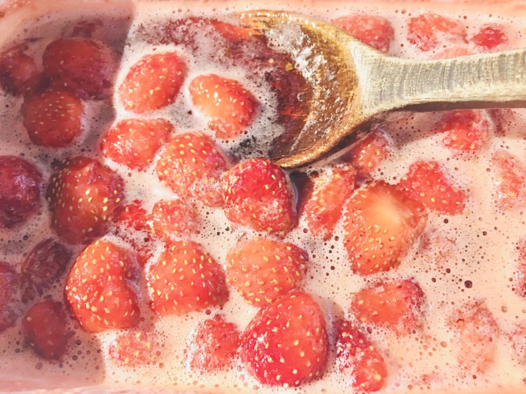 strawberryjam-honey (10)