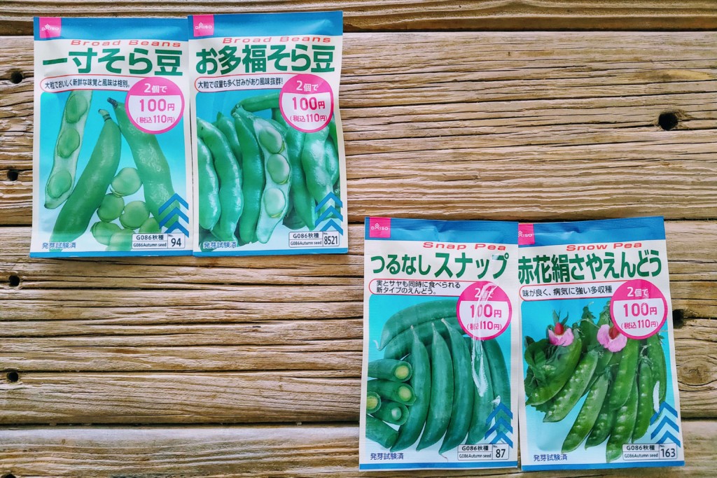 実験 100均ダイソーの種でお花と野菜を育ててみます 種まきのコツとお世話のポイント カジトラ