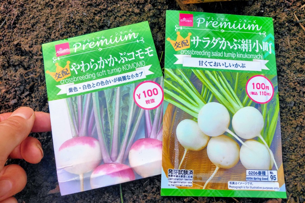 実験 100均ダイソーの種でお花と野菜を育ててみます 種まきのコツとお世話のポイント カジトラ