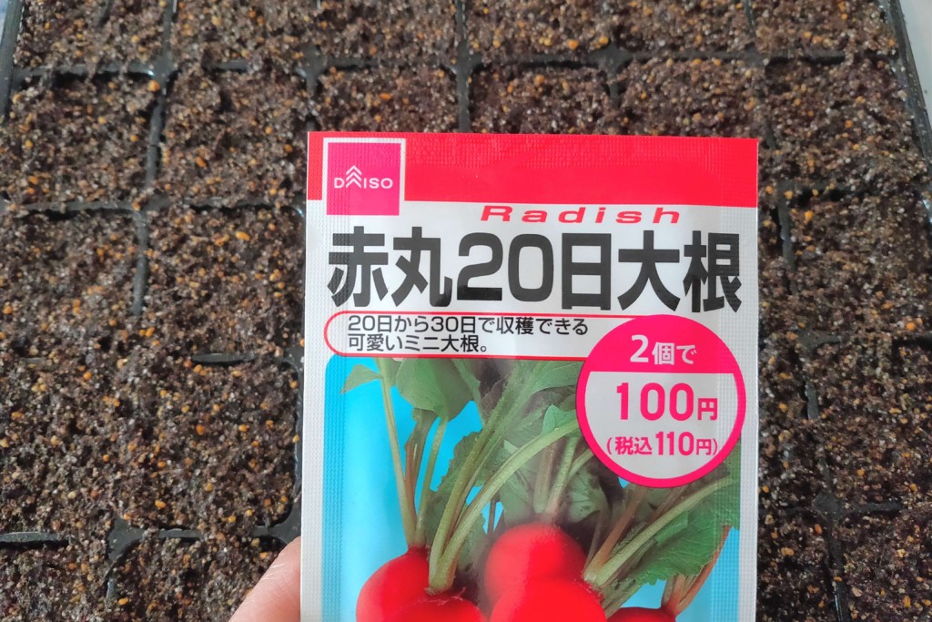 実験 100均ダイソーの種でお花と野菜を育ててみます 種まきのコツとお世話のポイント カジトラ