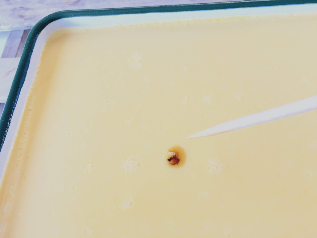enamel-caramel-pudding (26)