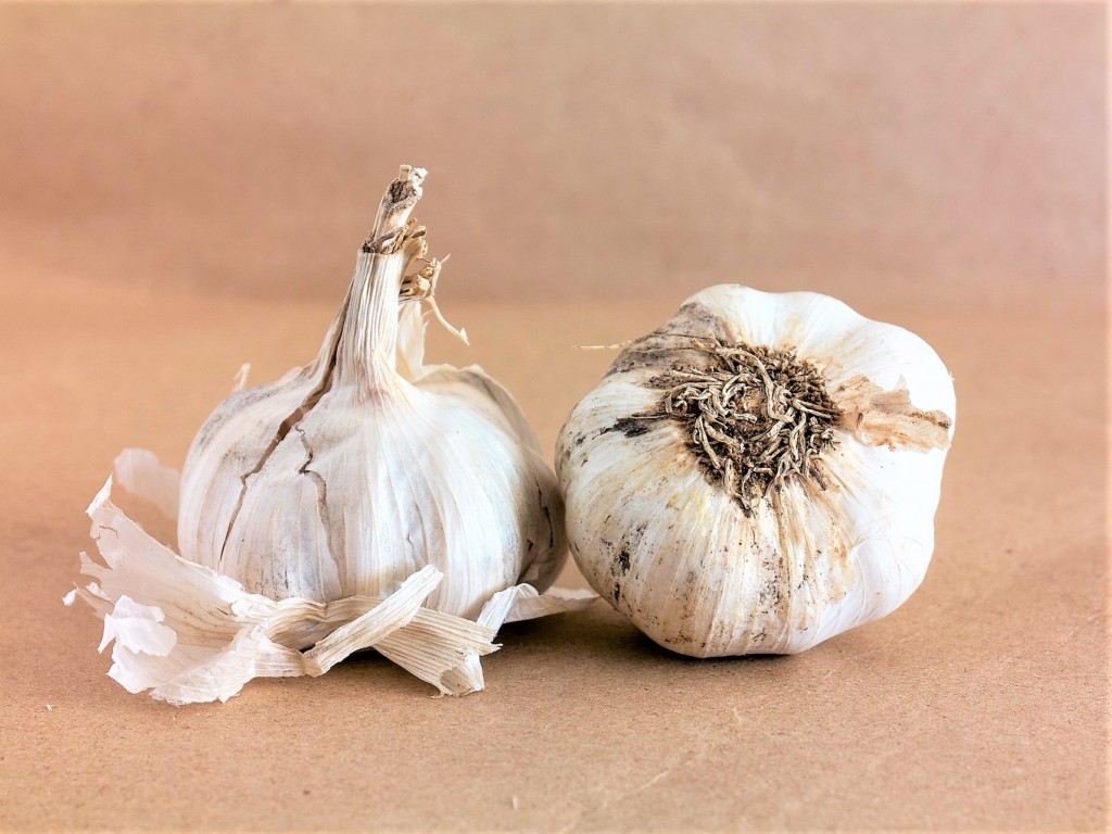 garlic-3