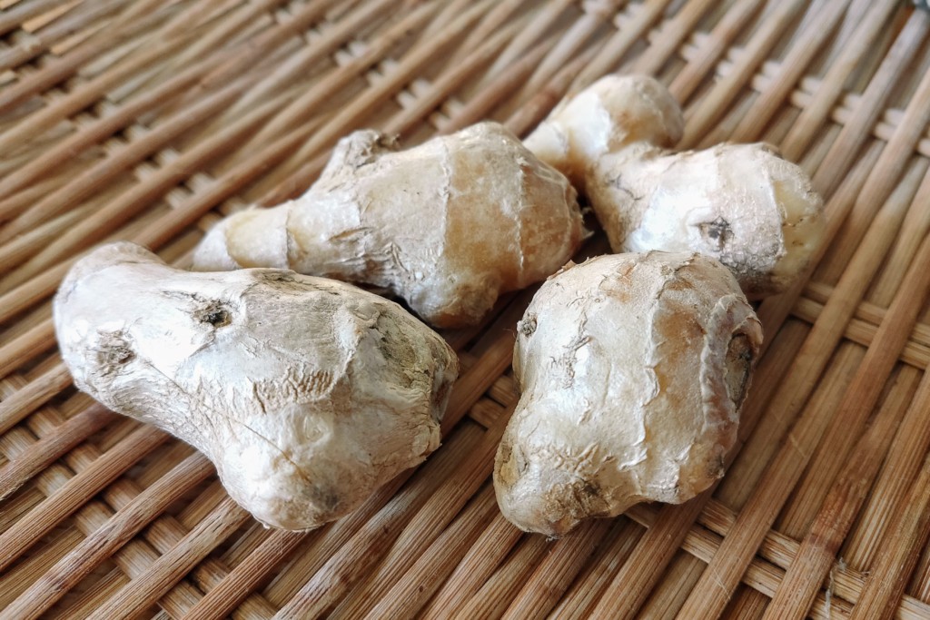 dried ginger,kanso syoga