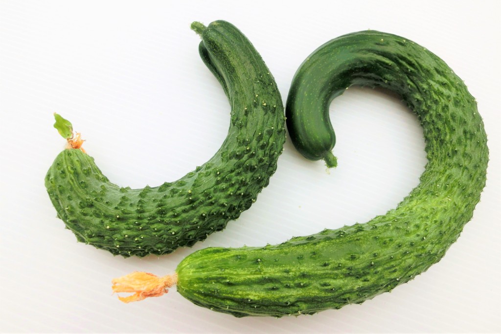 cucumbers-27