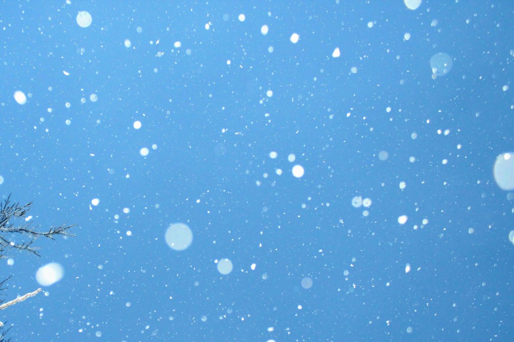 November,koyomi,koyuki,snow (★)