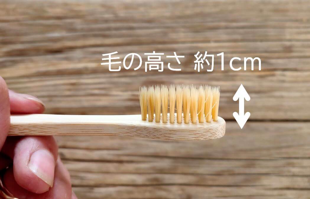 haburashi,toothbrush-5re★