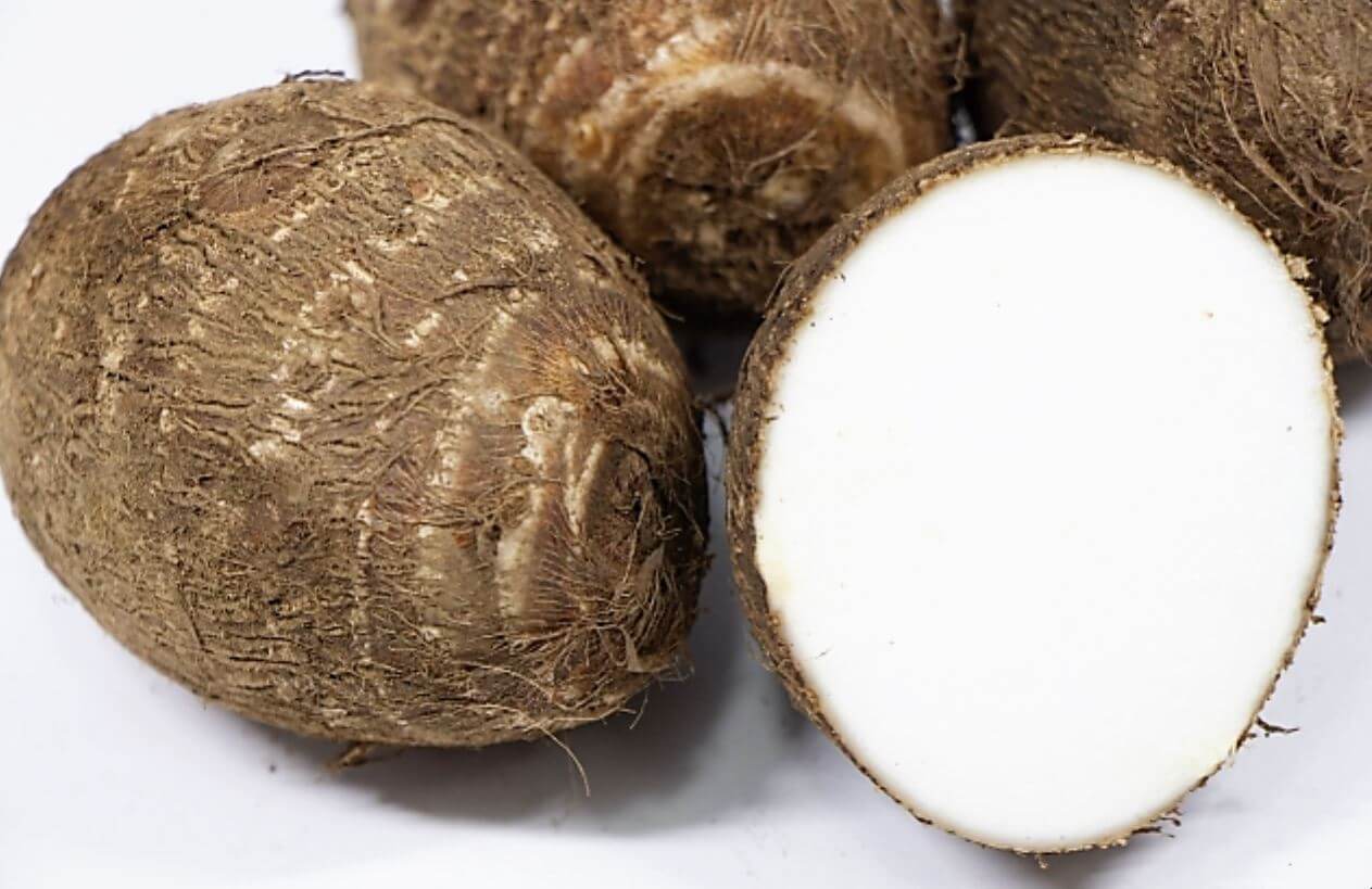 尻を切って収量アップ 里芋の種芋の植え方 昔農家さんに学ぶ伝承農法 カジトラ