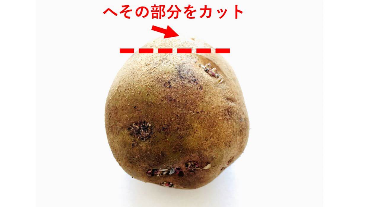 jagaimo,marugotoue,potato★