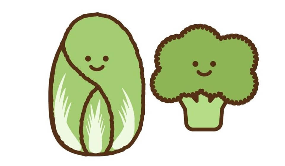 hakusai,broccoli-kj