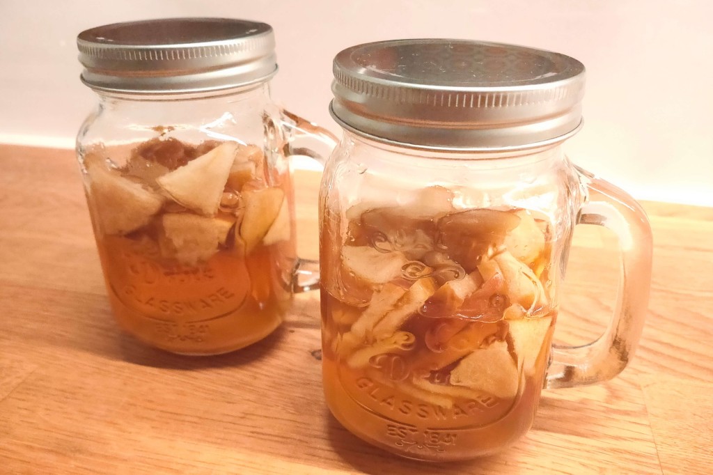 yoghourt maker kj (5)