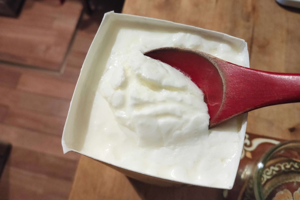 yoghourt maker kj (8)