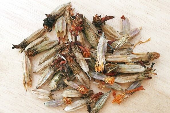 daiso marigold seeds kj (2)