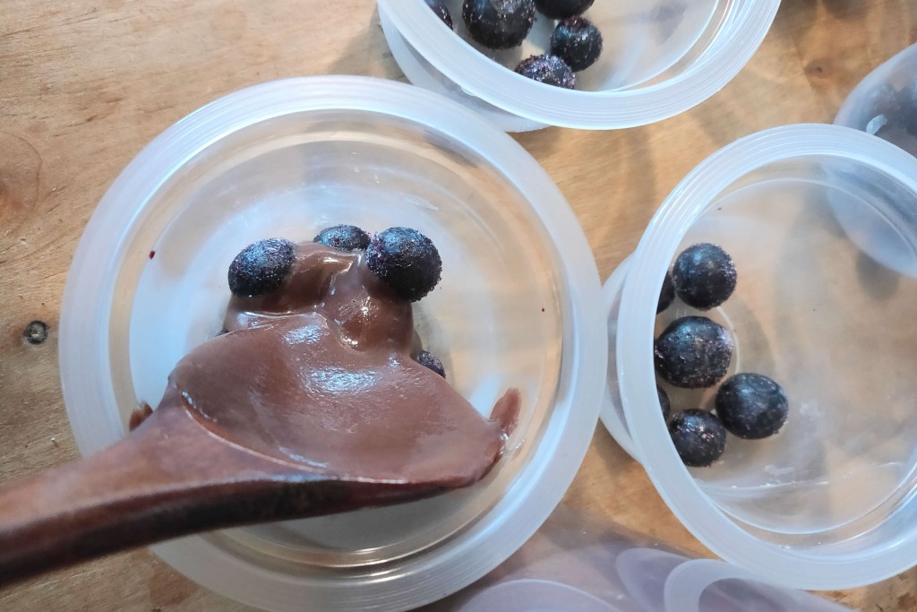 yoghourt maker kj (16)