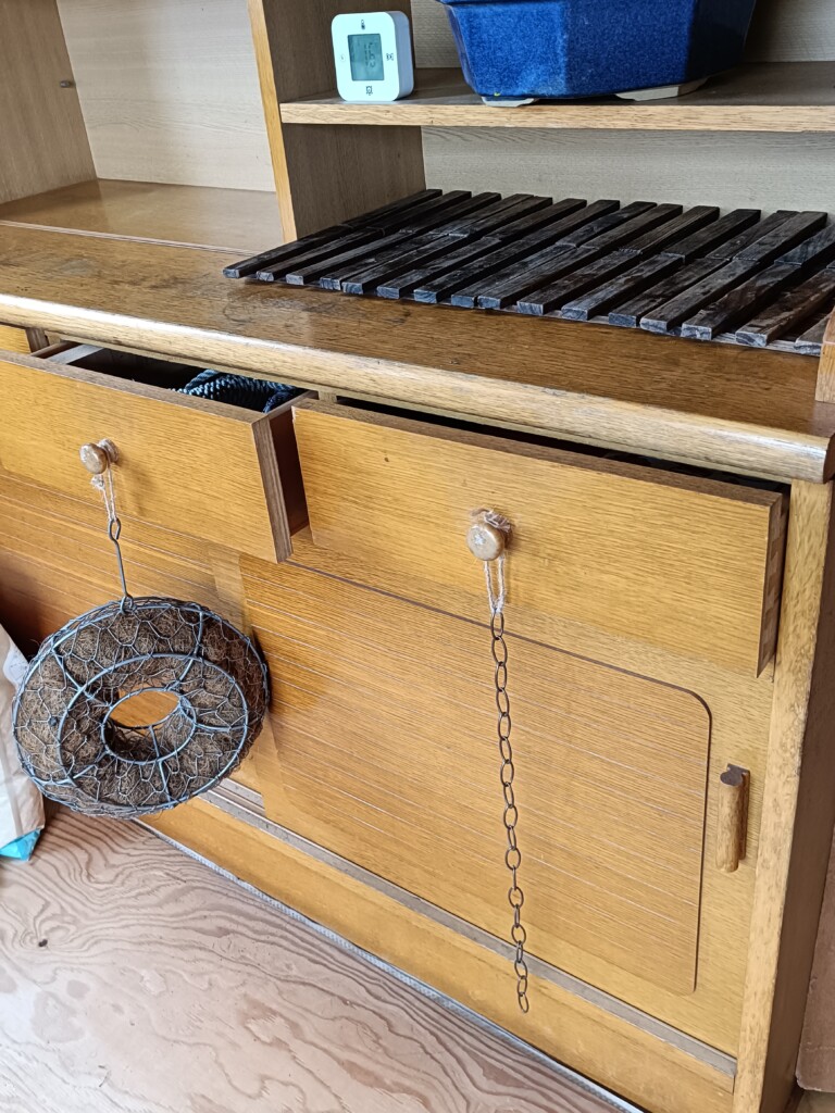 20251023_catroom kj (5)