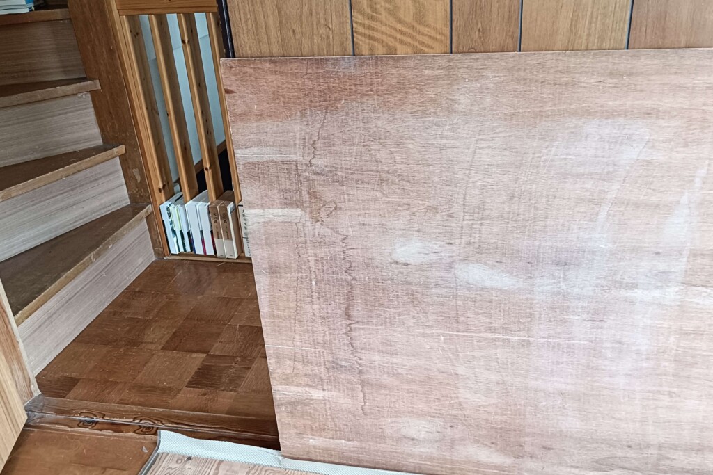 20251023_catroom kj (6)