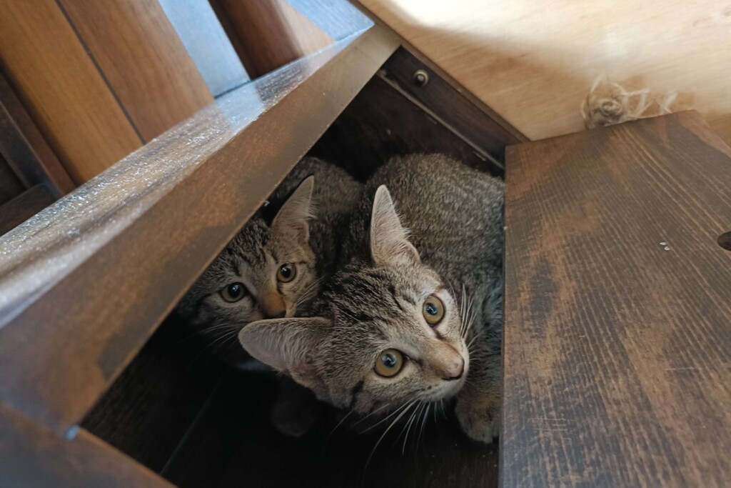 20251023_first contact kj