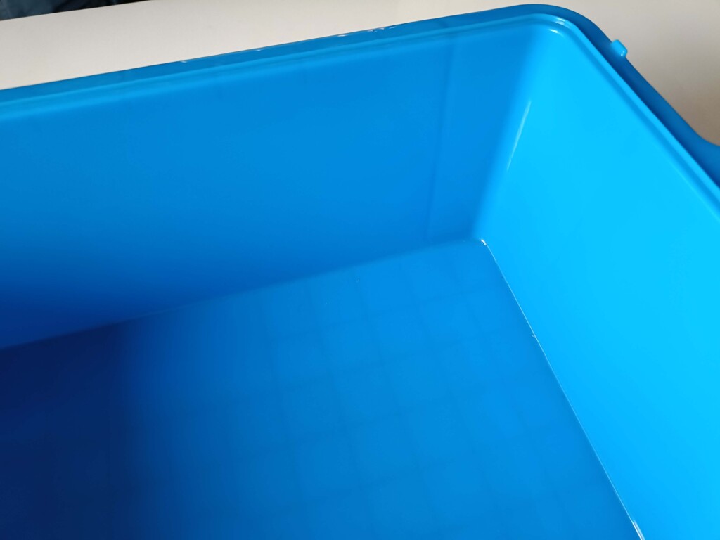 20251105_cat toilet (5)