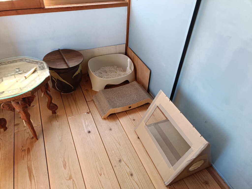20251201 cat toilet (8)